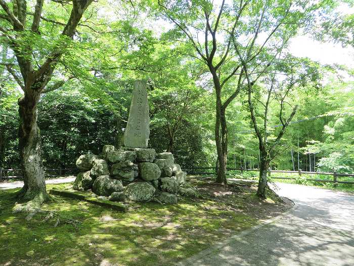 丹波篠山市河原町/王地山公園写真