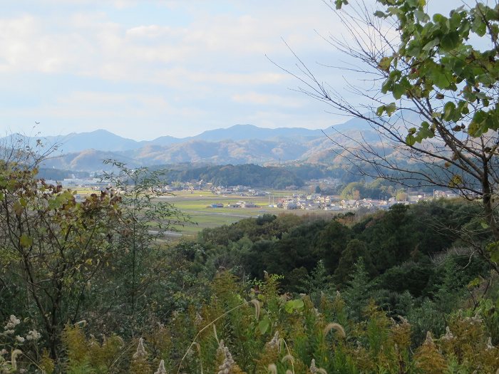 丹波篠山市東岡屋/権現山写真