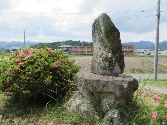 丹波篠山市沢田/赤池写真