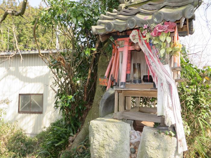 丹波篠山市野間/大杉神社写真