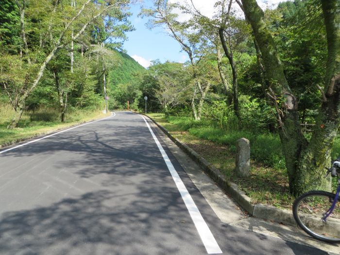 丹波篠山市大山下/川代の碑写真