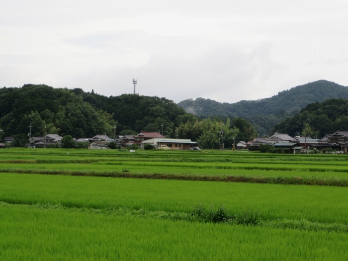 丹波篠山市野尻/景色写真