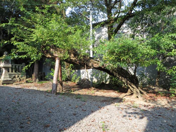 丹波篠山市郡家/居籠神社写真