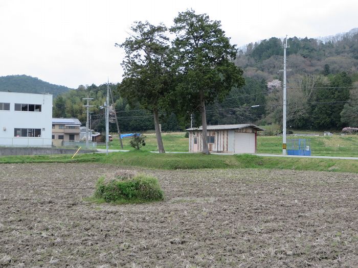 丹波篠山市寺内/馬場先塚古墳写真