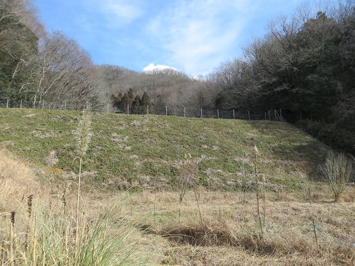 丹波篠山市大熊/太鼓池写真