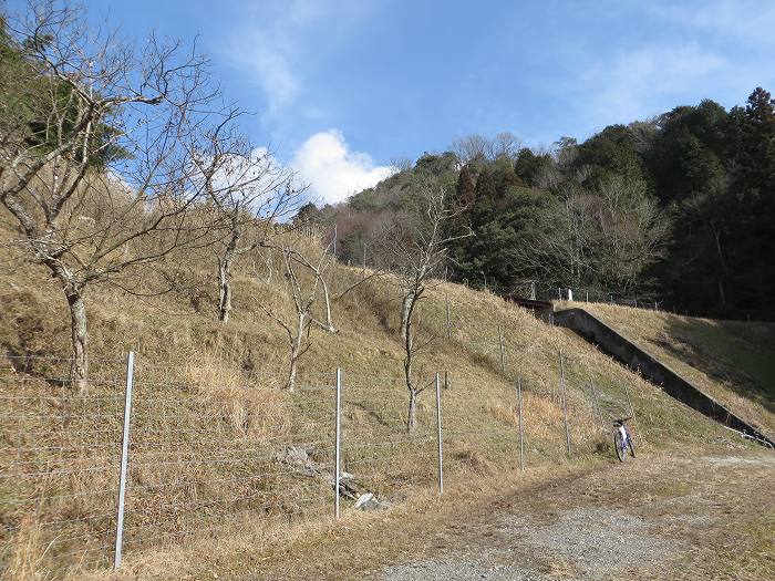 丹波篠山市大熊/仙徳寺池写真