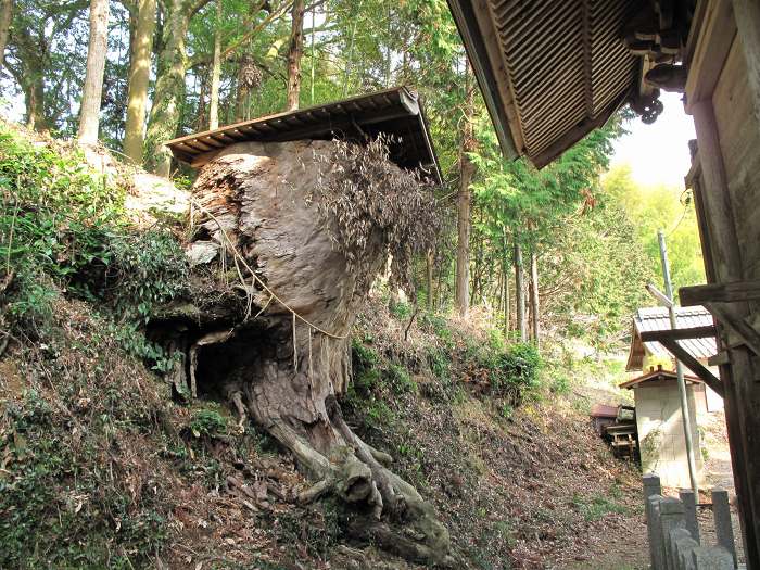 丹波篠山市寺内/大売神社写真