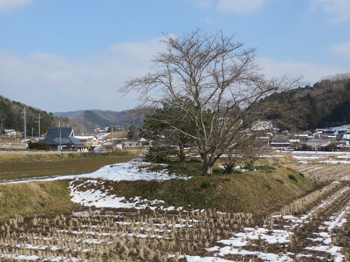 丹波篠山市新荘/馬場屋敷門跡写真