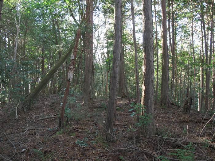 丹波篠山市新荘/前山・馬地山写真