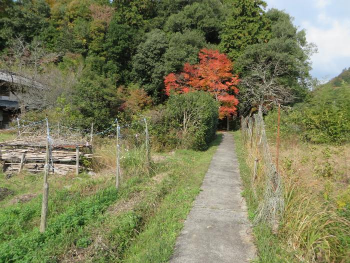 丹波篠山市春日江/神社写真