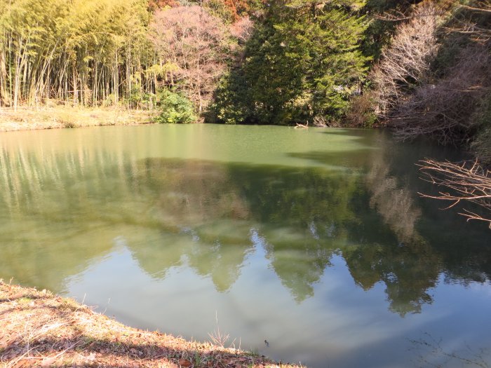 丹波篠山市大上/天神池写真