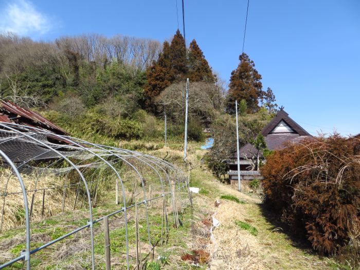 丹波篠山市倉谷/お堂写真