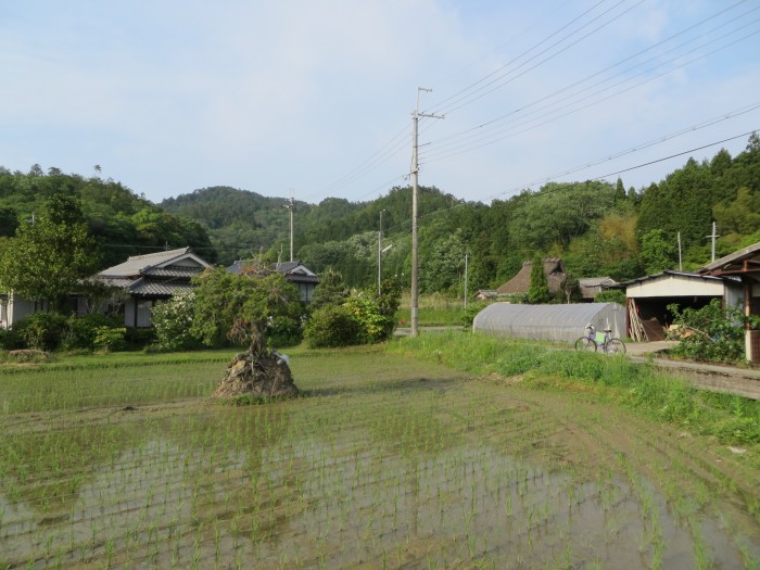 丹波篠山市春日江/森ノ前古墳写真