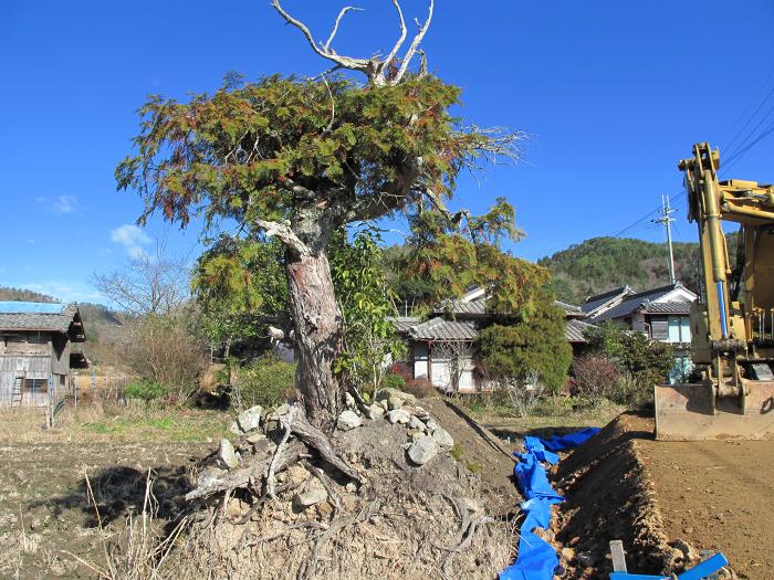 丹波篠山市春日江/森ノ前古墳写真