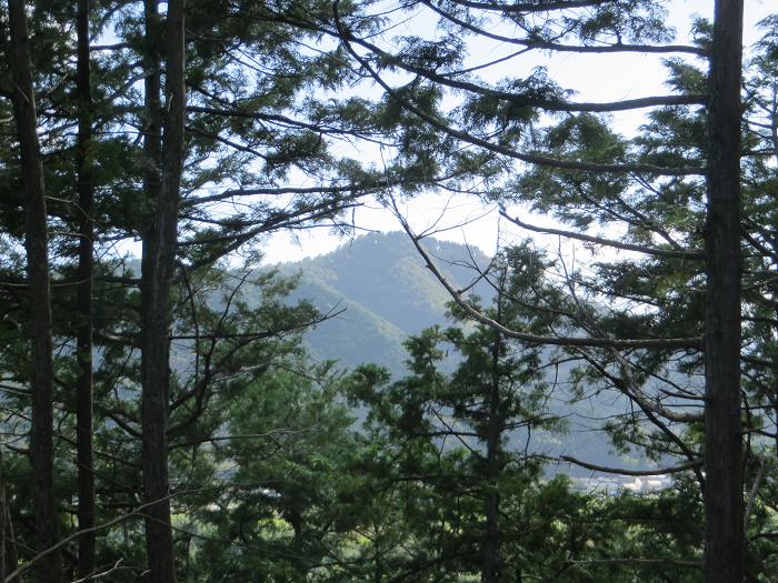 丹波篠山市般若寺/般若寺城跡写真