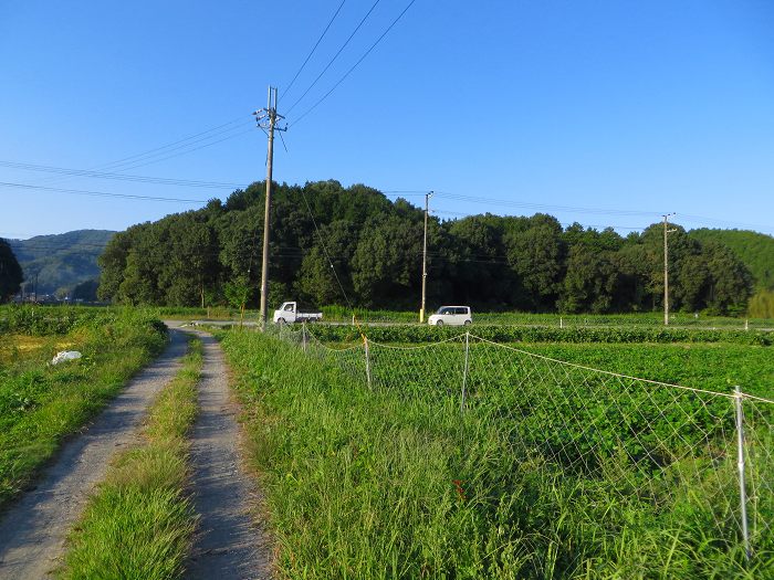 丹波篠山市東本荘/雲部車塚古墳写真