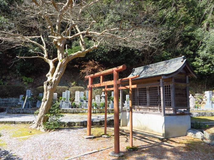 丹波篠山市西本荘/大圓山慈眼寺写真