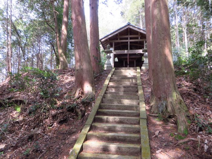 丹波篠山市畑井/母上八幡神社参道写真