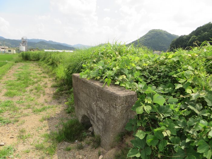 丹波篠山市北嶋/国鉄篠山線跡暗渠写真