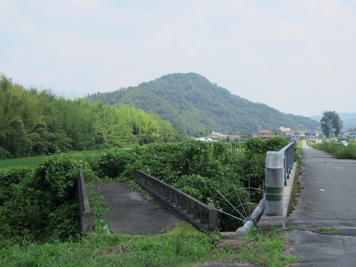 丹波篠山市泉/こう山写真