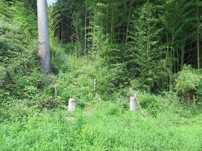 丹波篠山市泉/こう山写真