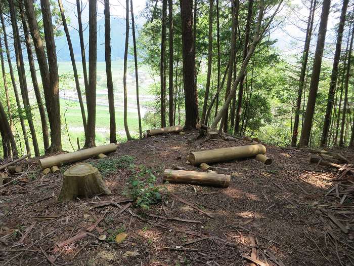 丹波篠山市泉/こう山写真