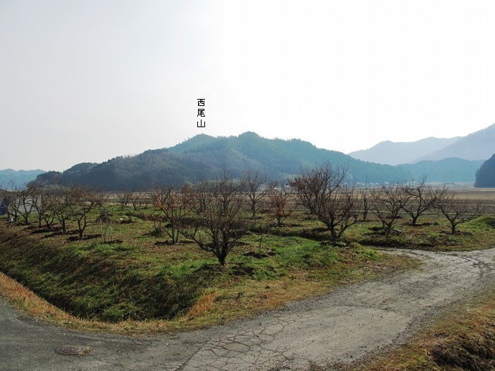 丹波篠山市向井/西尾山