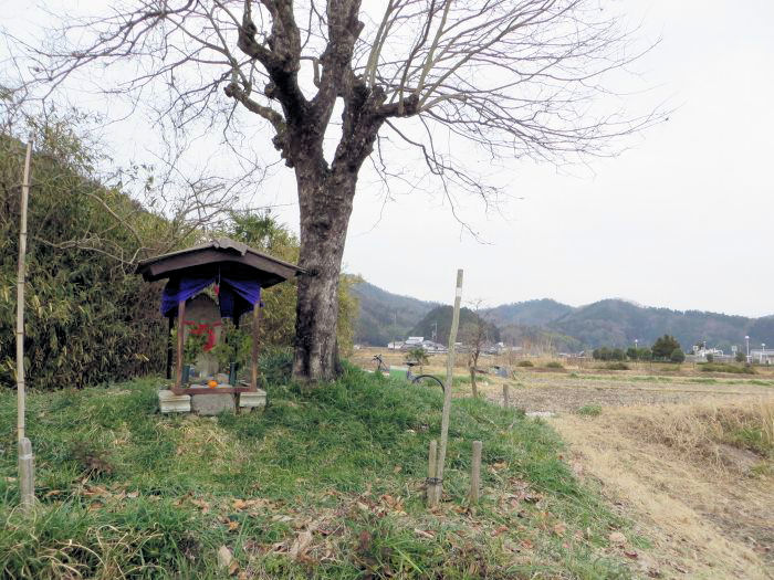 丹波篠山市二之坪/地蔵写真