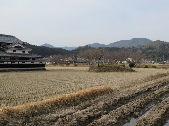 丹波篠山市向井/向井古墳写真