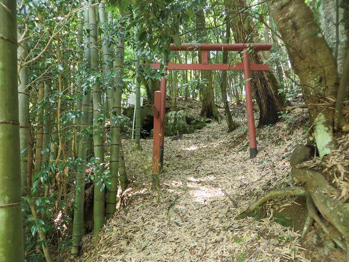 丹波篠山市貝田/貝田稲荷古墳写真