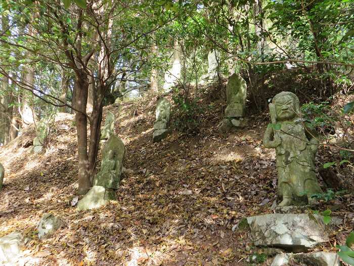 丹波篠山市草ノ上/燈明寺山写真