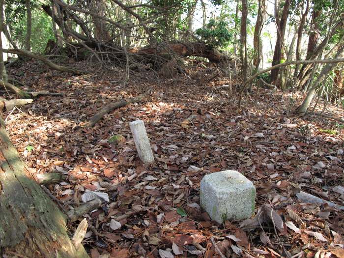 丹波篠山市幡路/荒打