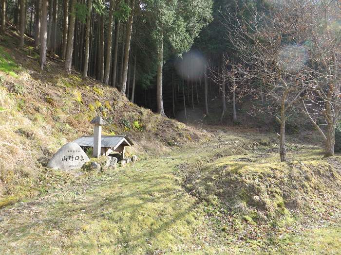 丹波篠山市本明谷/山野口泉写真