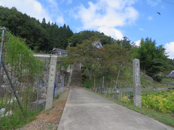 丹波篠山市中原山/調高山琴松寺写真