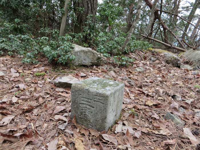 丹波篠山市大藤/三国岳写真