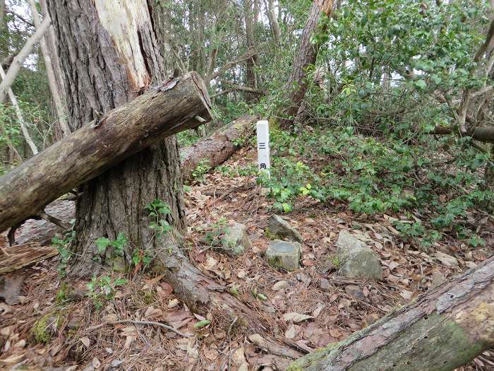 丹波篠山市大藤/三国岳写真