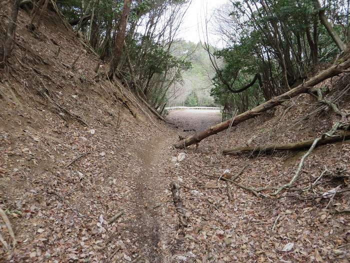 丹波篠山市大藤/三国岳写真