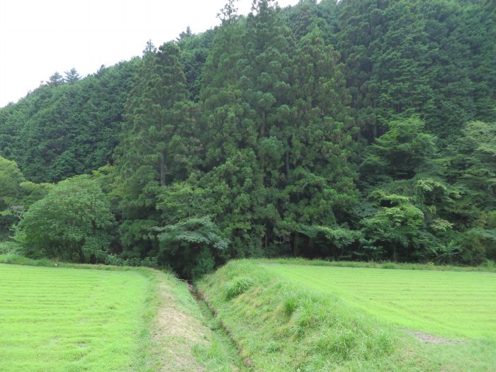 丹波篠山市荒子新田/荒子不動尊写真