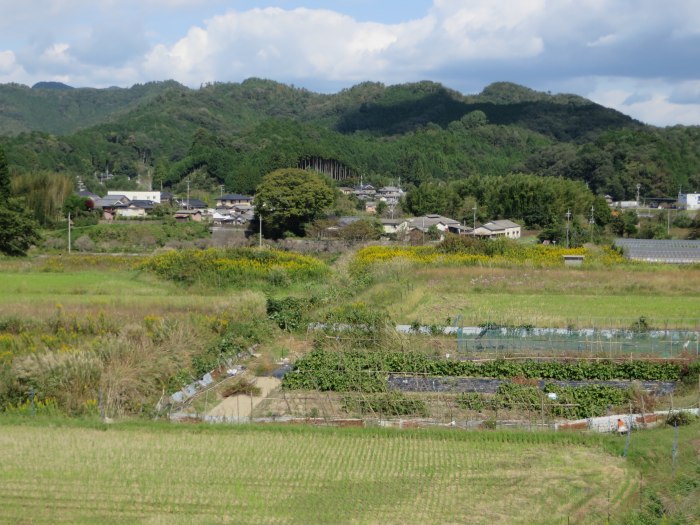 丹波篠山市北野/三子塚古墳写真