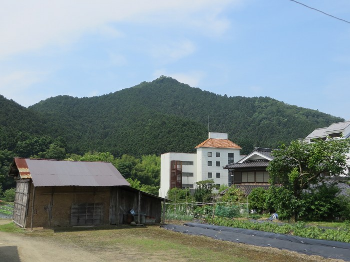 丹波篠山市北野/波賀尾岳写真