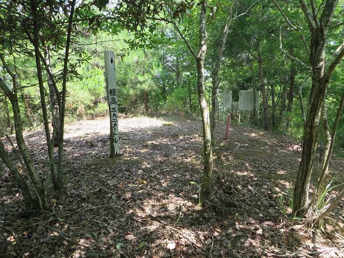 丹波篠山市北野/波賀尾岳写真