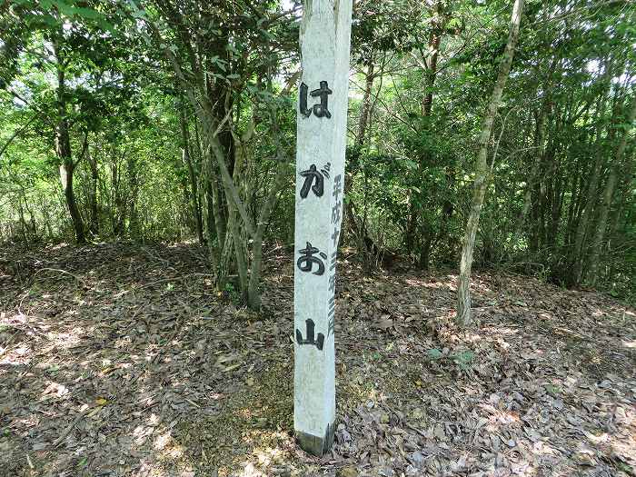 丹波篠山市北野/波賀尾岳写真