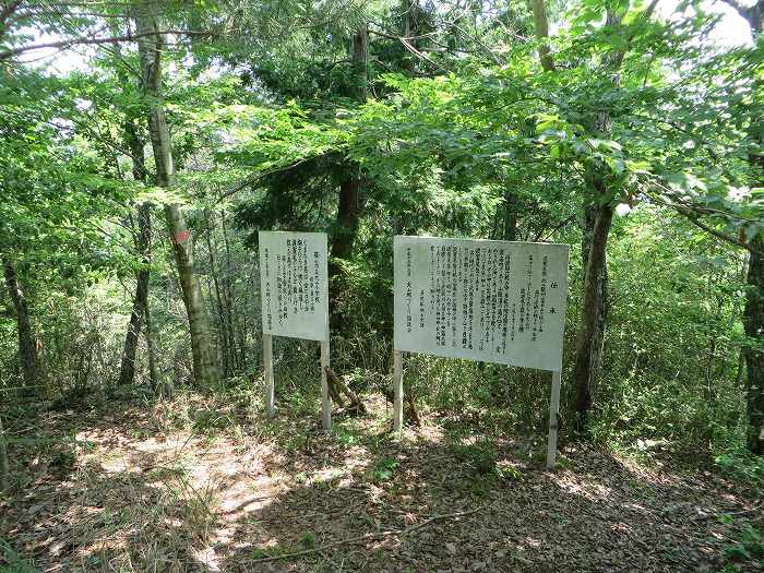 丹波篠山市北野/波賀尾岳写真