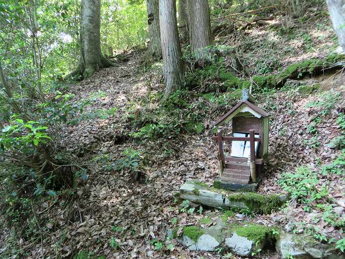 丹波篠山市北野/波賀尾岳写真