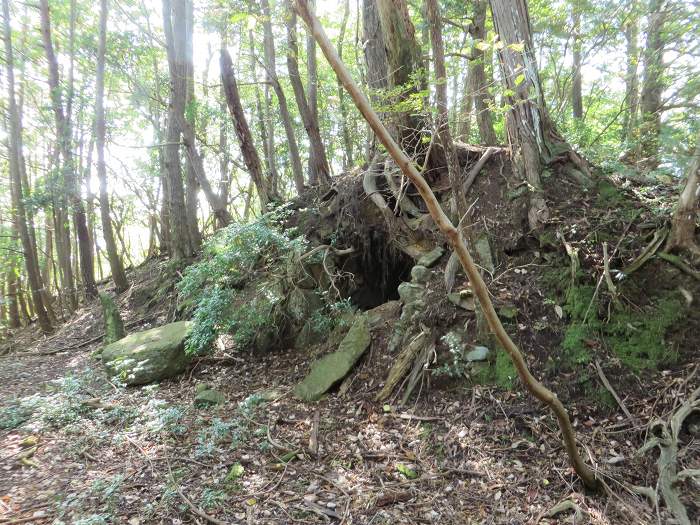 丹波篠山市北野/小丸山古墳写真