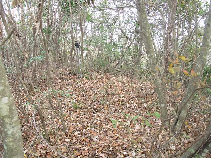 丹波篠山市大山下/大谷山写真