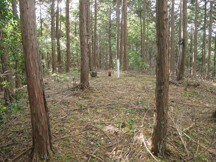 丹波篠山市大山上/井谷山写真