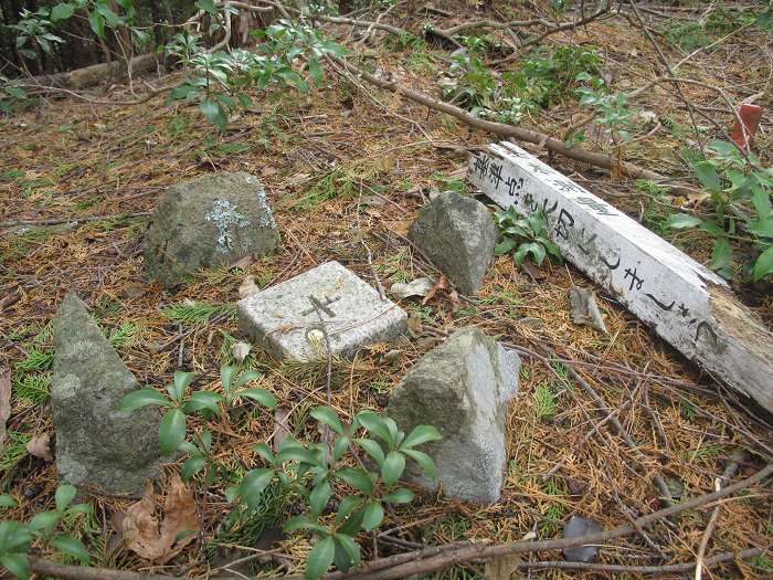 丹波篠山市大山上/井谷山写真