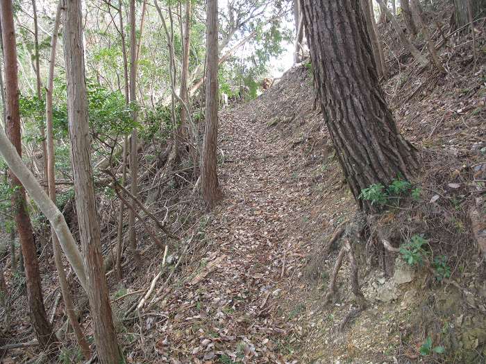 丹波篠山市大山上/仮称大山上峠写真