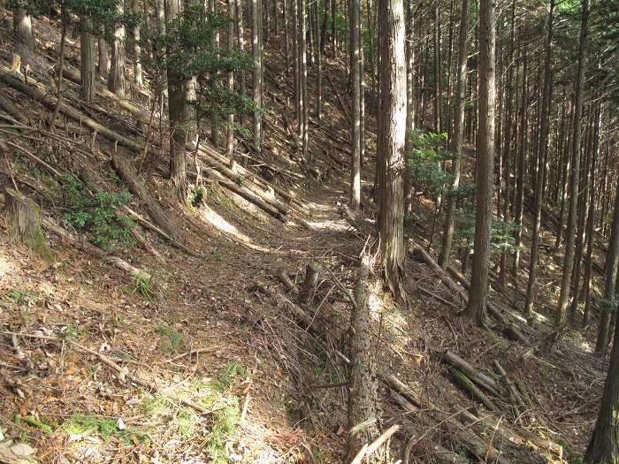 丹波篠山市大山上/仮称大山上峠写真